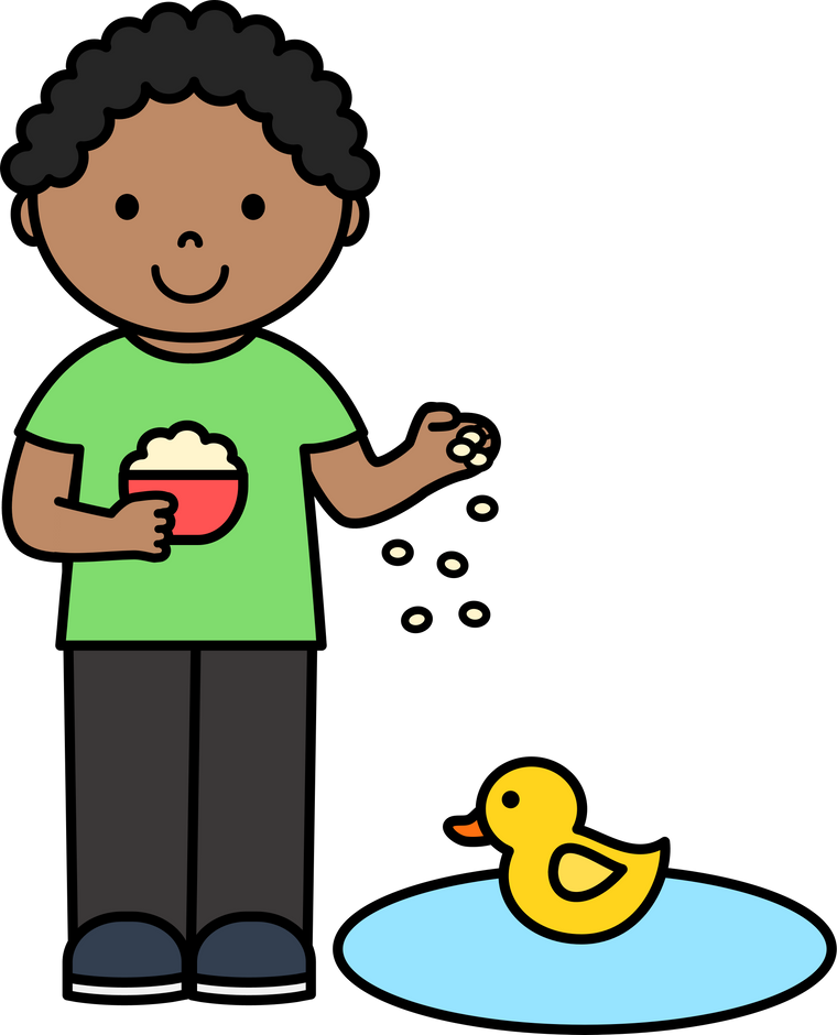 Kid Feed Duck